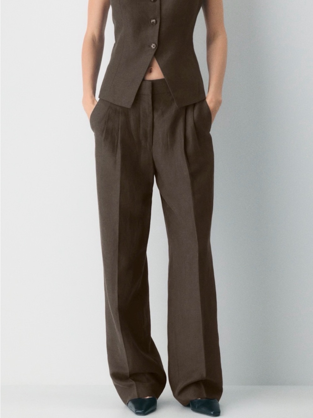 Aritzia Brown Wide-Leg Pleated Trousers